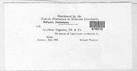 Image Associated With the Occurence